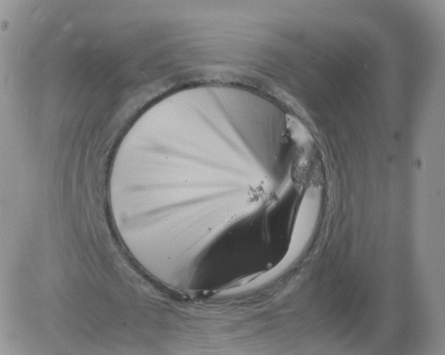 X0000083030673200702231905