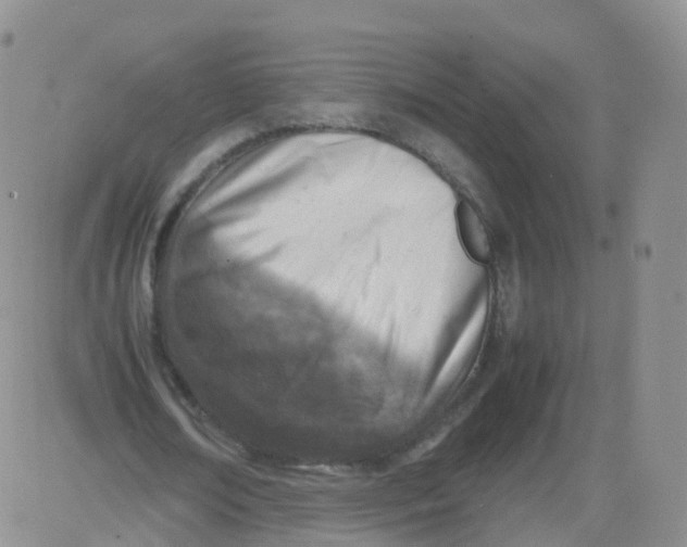 X0000083030674200702231905