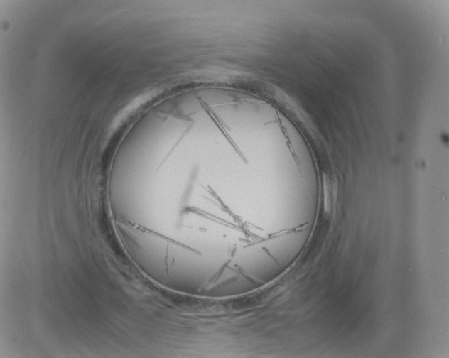 X0000083030675200702231905