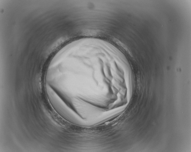 X0000083030682200702231905