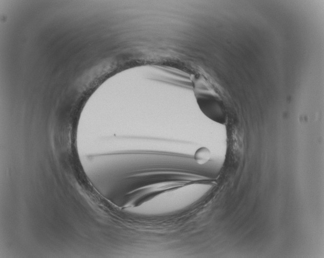 X0000083030685200702231905