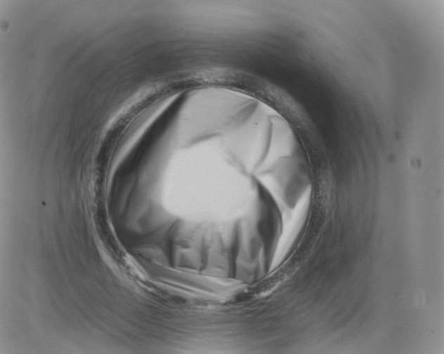 X0000083030730200702231903