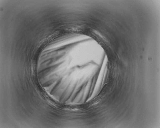 X0000083030747200702231904