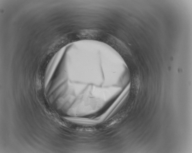 X0000083030751200702231904