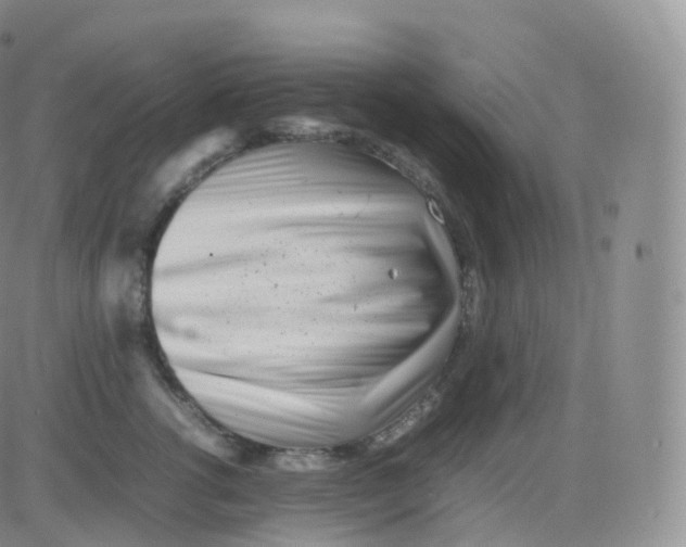 X0000083030762200702231904