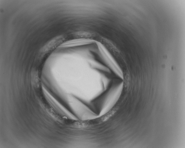 X0000083030764200702231904