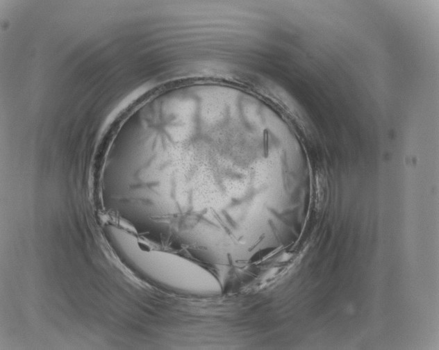 X0000083030780200702231903