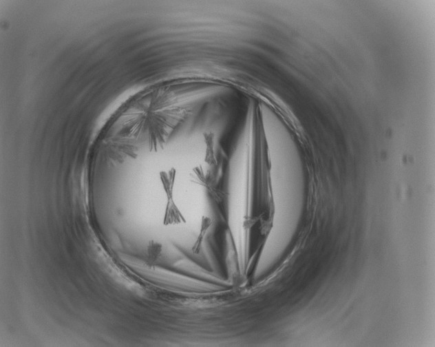 X0000083030796200702231903