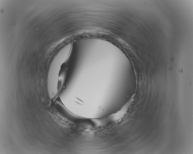 X0000083030822200702231901