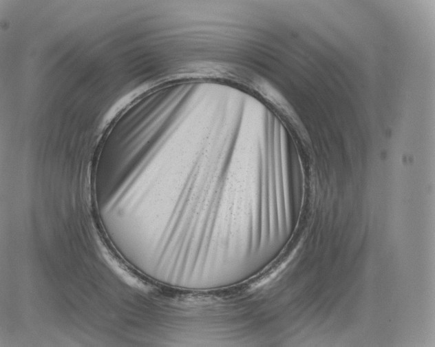 X0000083030842200702231902