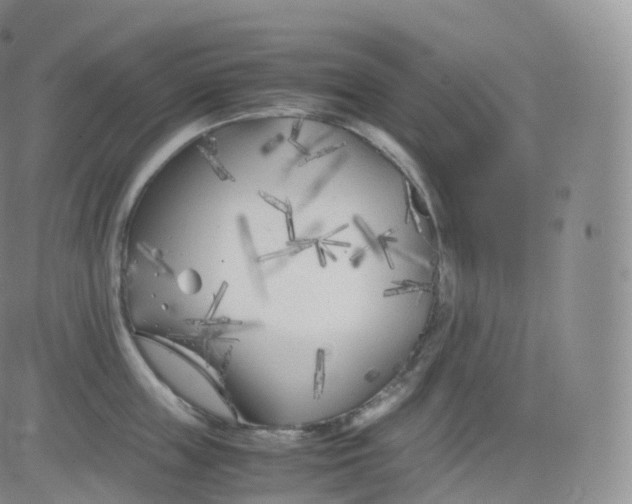 X0000083030859200702231902