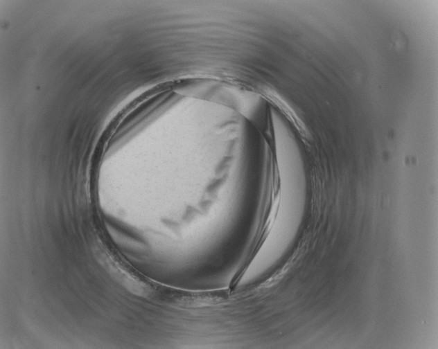 X0000083030884200702231901