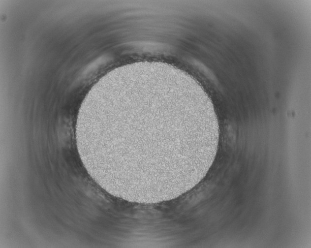 X0000083030918200702231900