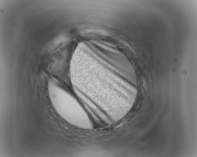 X0000083030965200702231900