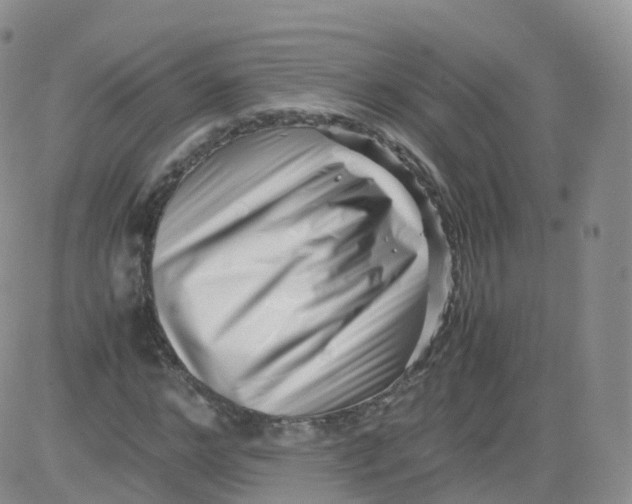 X0000083030968200702231900