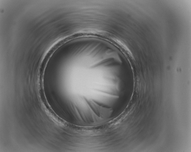 X0000083030976200702231900