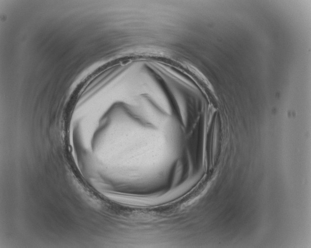 X0000083030981200702231859