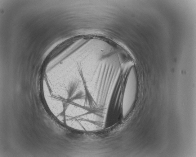 X0000083030983200702231859