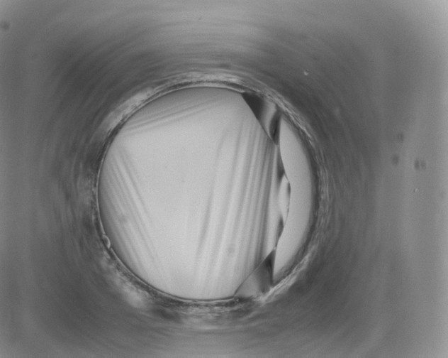 X0000083030985200702231859