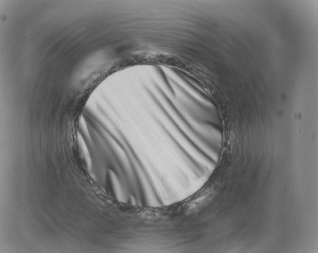 X0000083031014200702231858