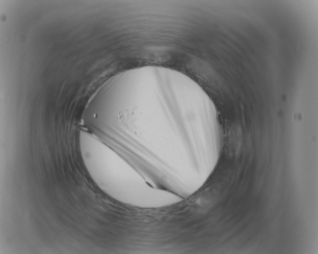X0000083031058200702231858