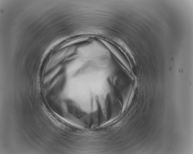 X0000083031072200702231858