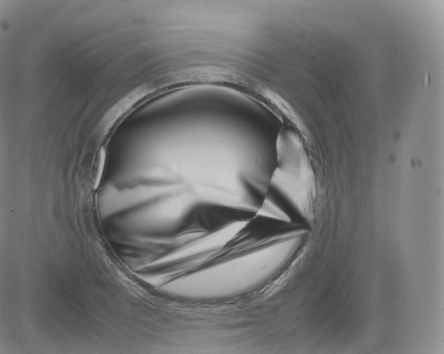 X0000083031081200702231858