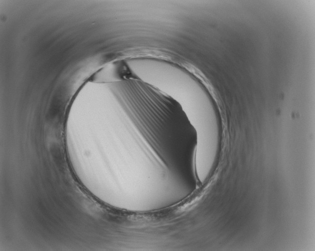 X0000083031089200702231858