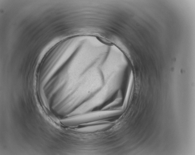 X0000083031096200702231858