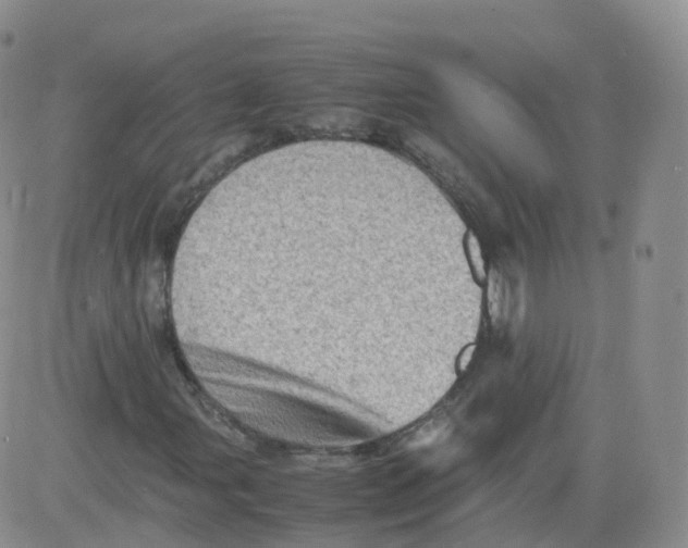 X0000083031107200702231857