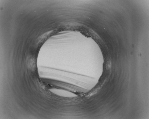 X0000083031108200702231857