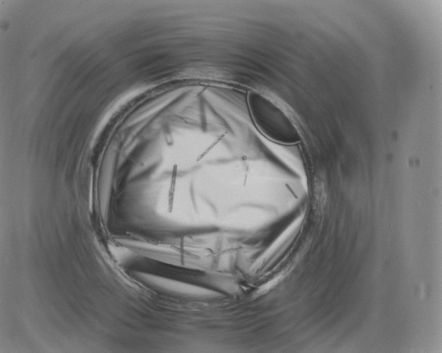 X0000083031123200702231857