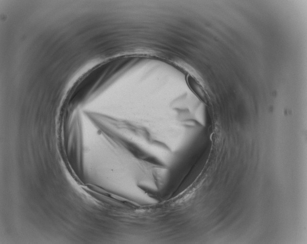 X0000083031135200702231857