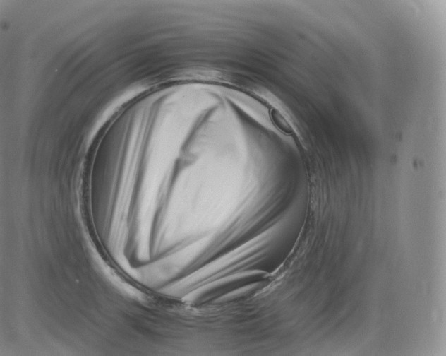 X0000083031139200702231857