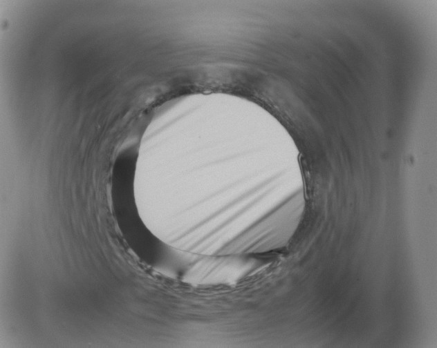 X0000083031153200702231857