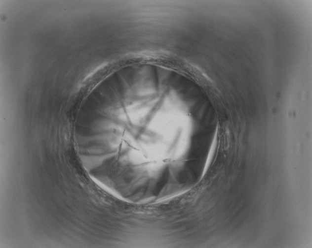 X0000083031158200702231857
