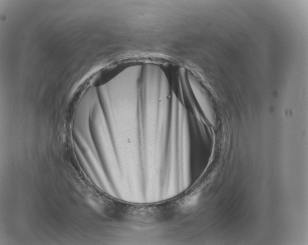 X0000083031165200702231856