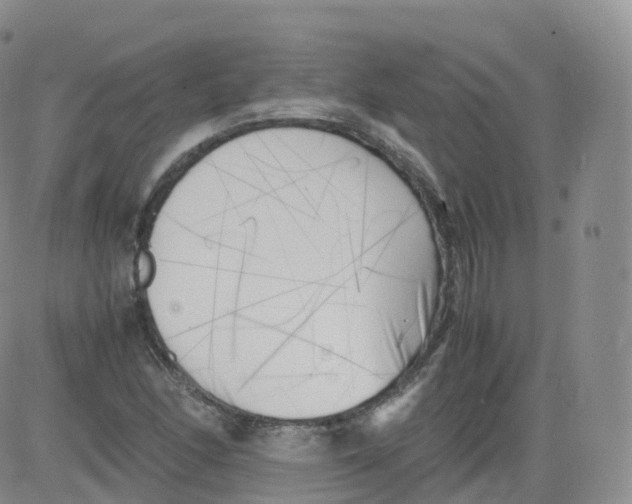 X0000083031166200702231856
