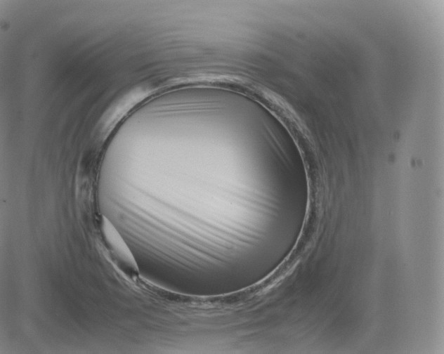 X0000083031177200702231856