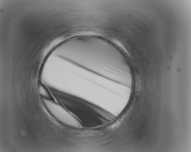 X0000083031181200702231856
