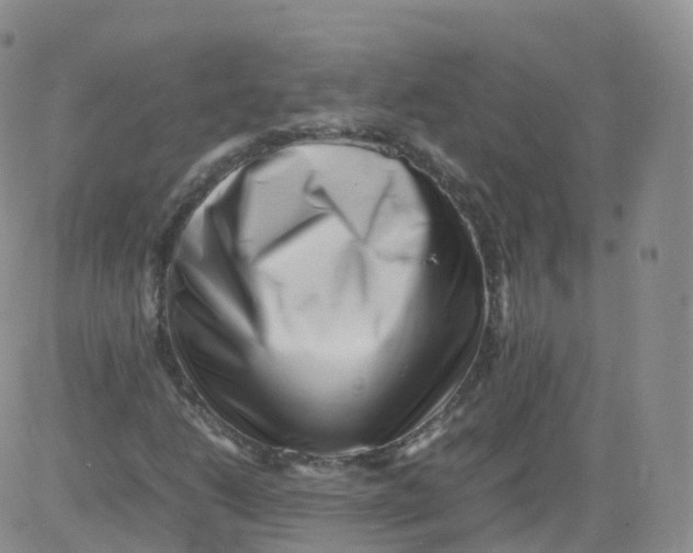 X0000083031206200702231855