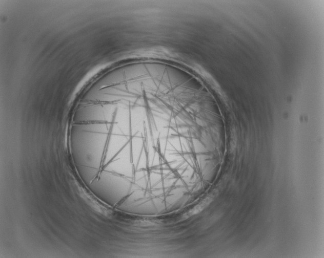 X0000083031224200702231855