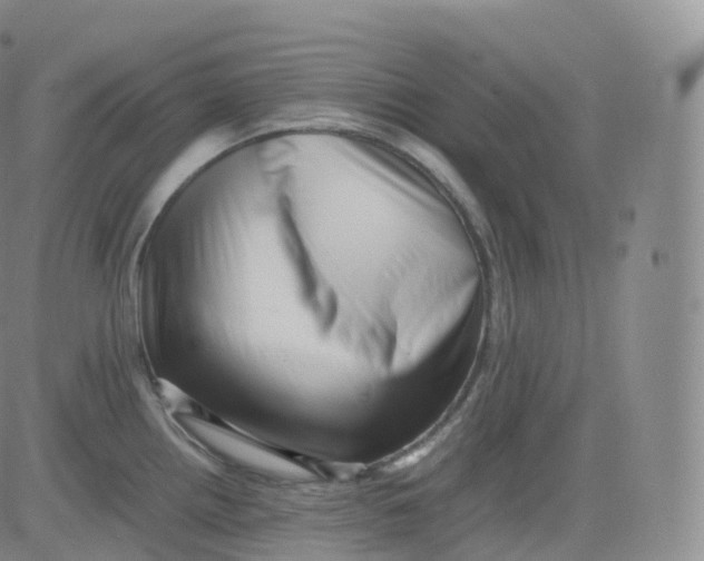 X0000083031242200702231856