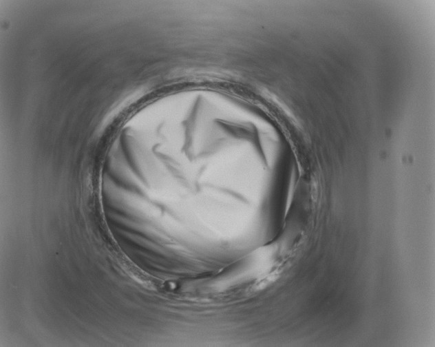 X0000083031261200702231855
