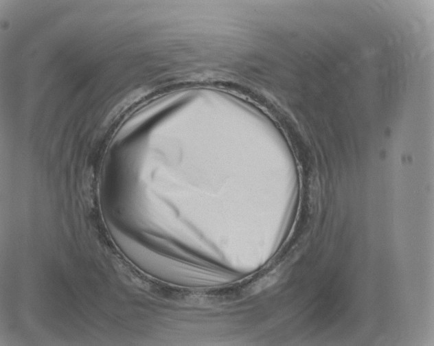 X0000083031265200702231855