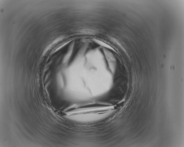 X0000083031307200702231854