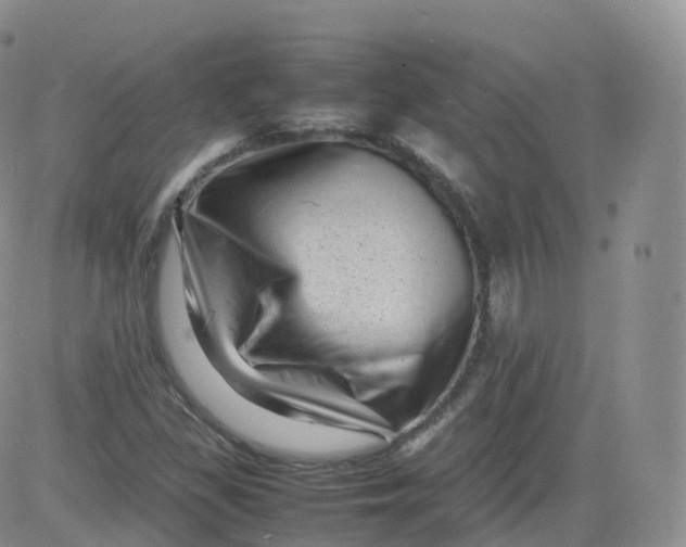 X0000083031309200702231854