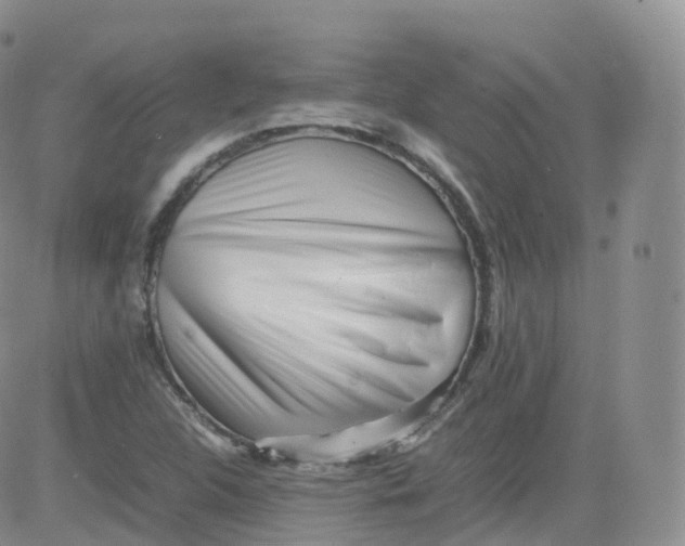 X0000083031312200702231854