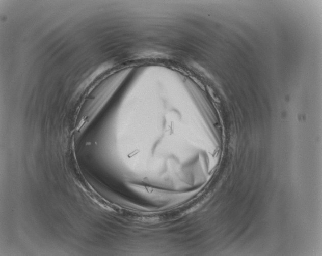 X0000083031313200702231854
