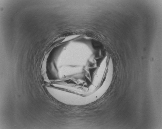 X0000083031345200702231853